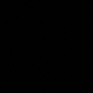 Meet your Posher, Lee